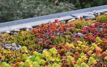 the cost of Pentrellwyn green roof installation