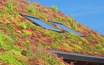 Pentrellwyn living roof systems